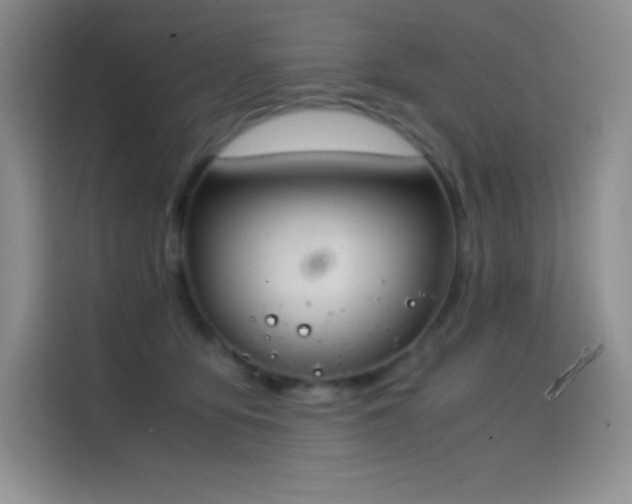 X0000114620419200910201136