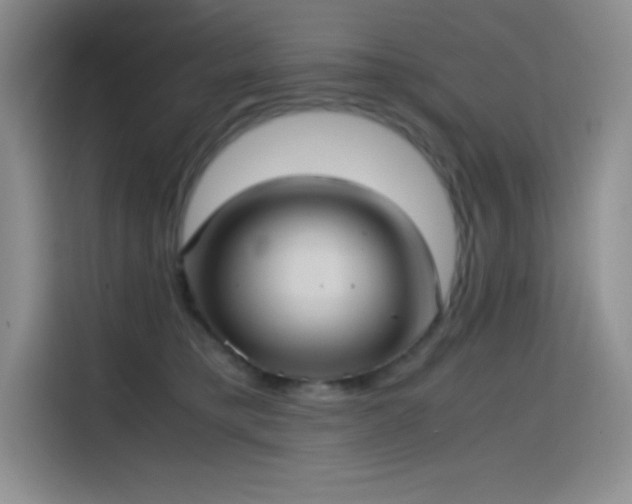 X0000114620421200910201136