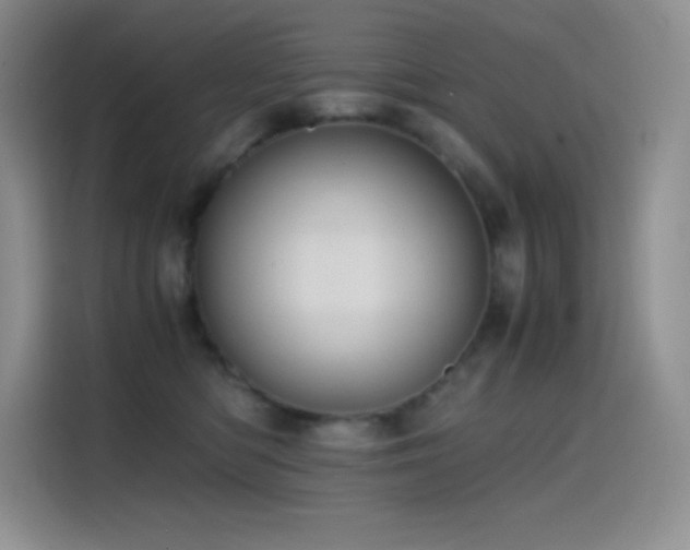X0000114620422200910201136