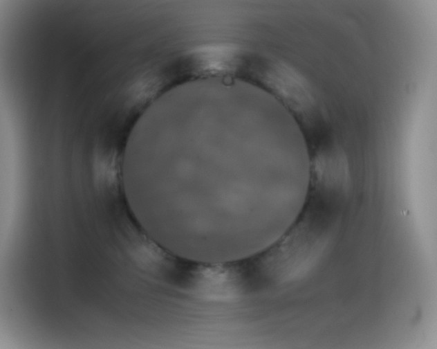 X0000114620423200910201136