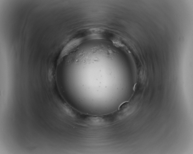 X0000114620424200910201136