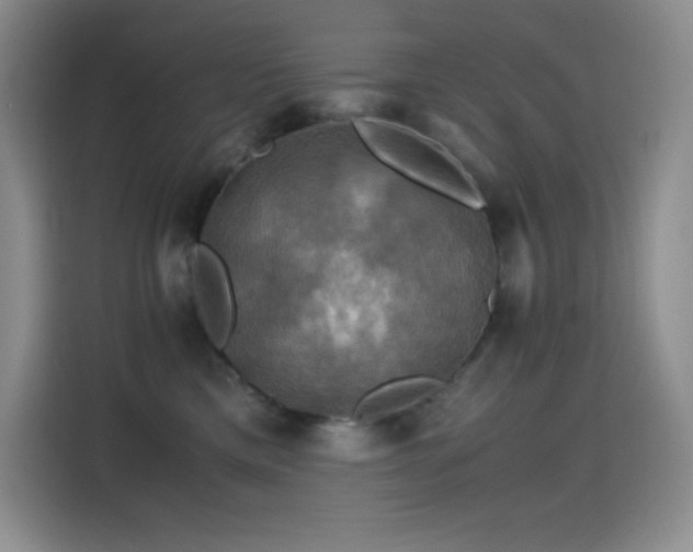 X0000114620425200910201136