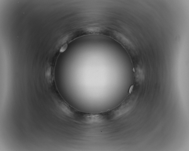 X0000114620428200910201136