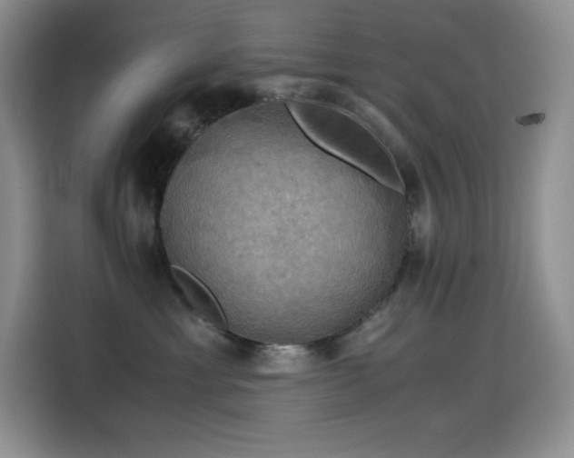 X0000114620429200910201136