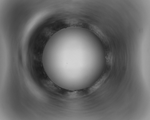 X0000114620430200910201136