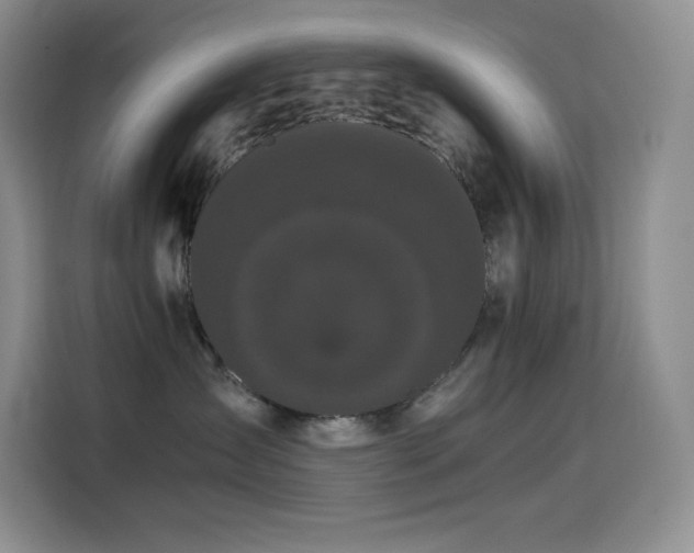 X0000114620431200910201136