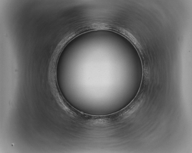 X0000114620433200910201135