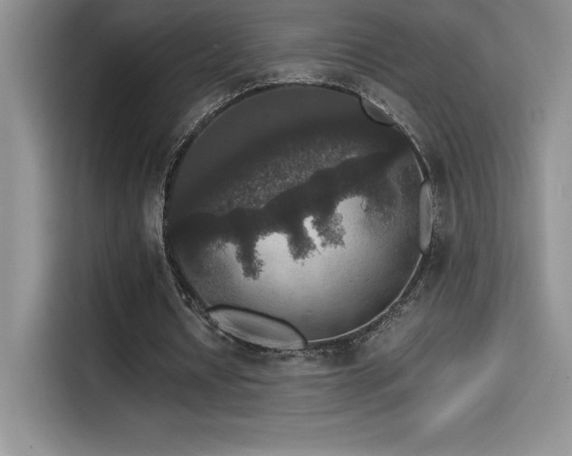 X0000114620434200910201135