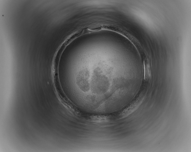 X0000114620435200910201135