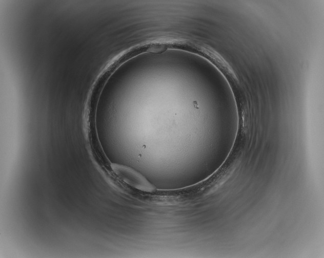 X0000114620436200910201135