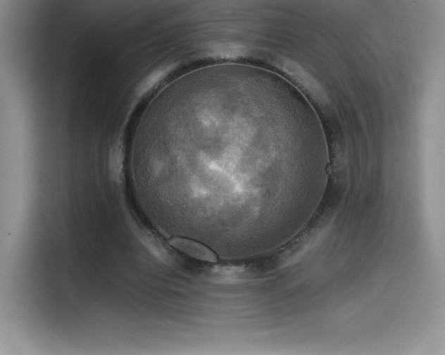 X0000114620440200910201136