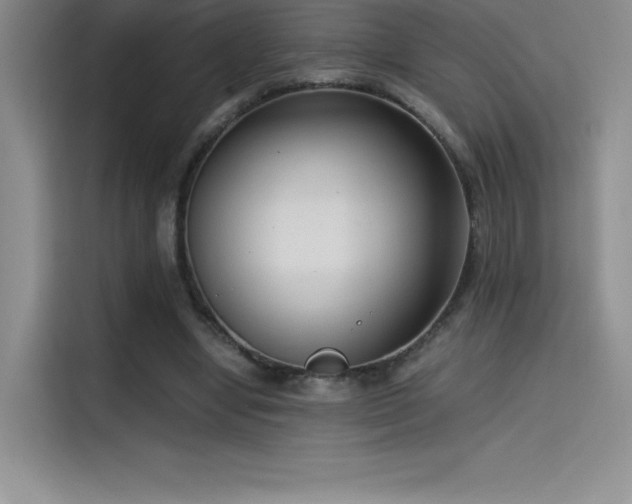 X0000114620442200910201136
