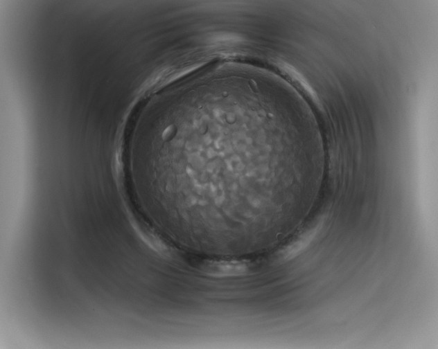 X0000114620443200910201136