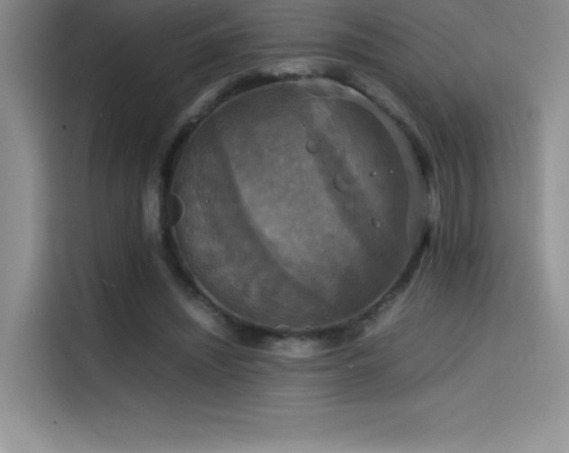 X0000114620444200910201136