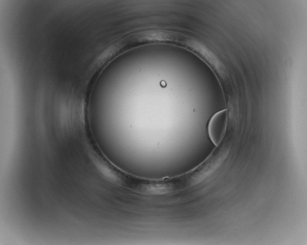 X0000114620445200910201136