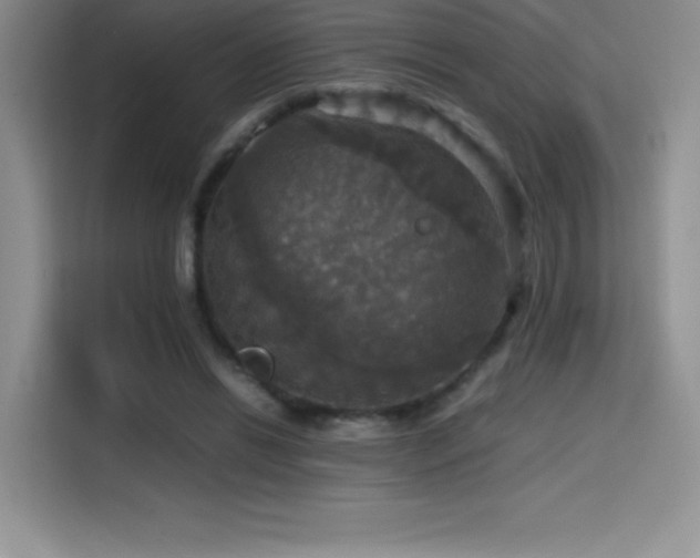 X0000114620446200910201136