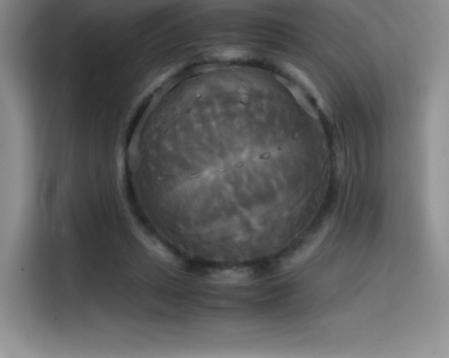 X0000114620447200910201136