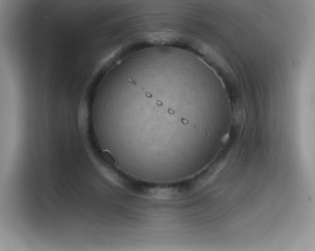 X0000114620448200910201136