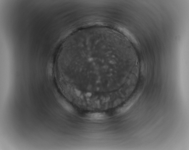 X0000114620449200910201136