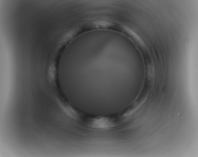 X0000114620451200910201136