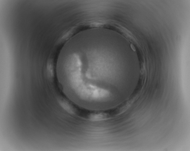 X0000114620452200910201136