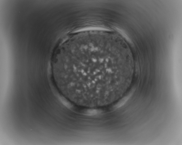 X0000114620453200910201136