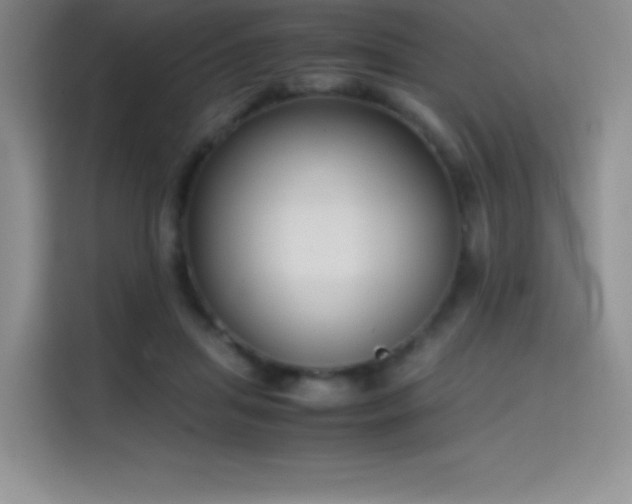 X0000114620455200910201136