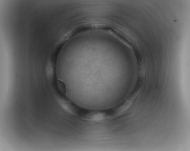 X0000114620456200910201136