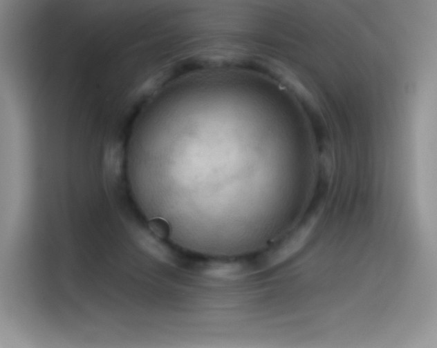 X0000114620458200910201136