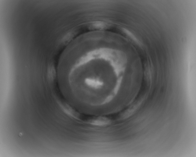 X0000114620459200910201136
