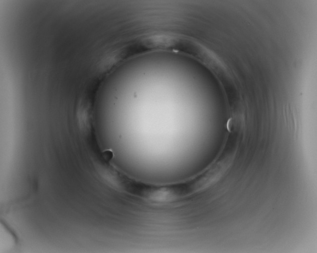 X0000114620460200910201136