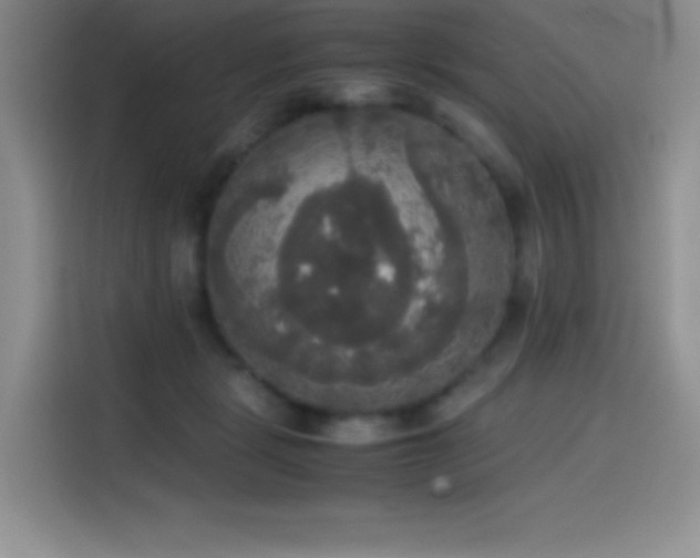X0000114620461200910201136