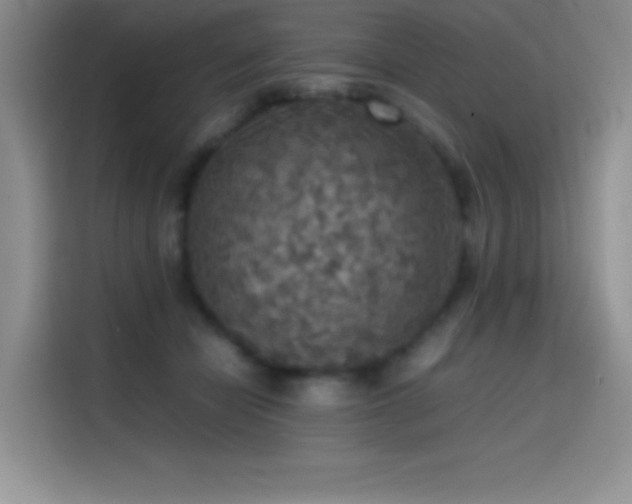 X0000114620462200910201136