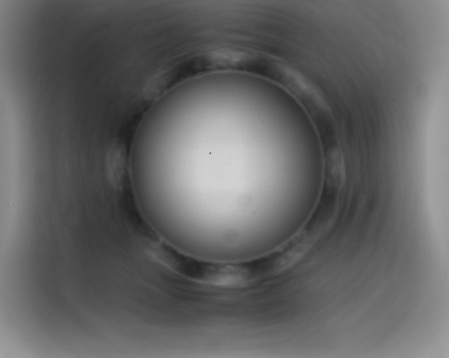 X0000114620463200910201136