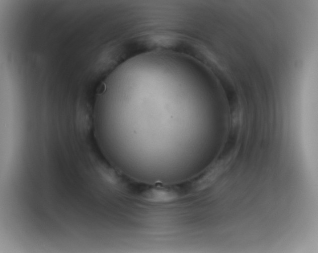 X0000114620464200910201136