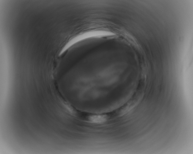 X0000114620465200910201136