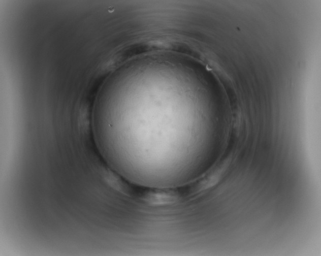 X0000114620466200910201136