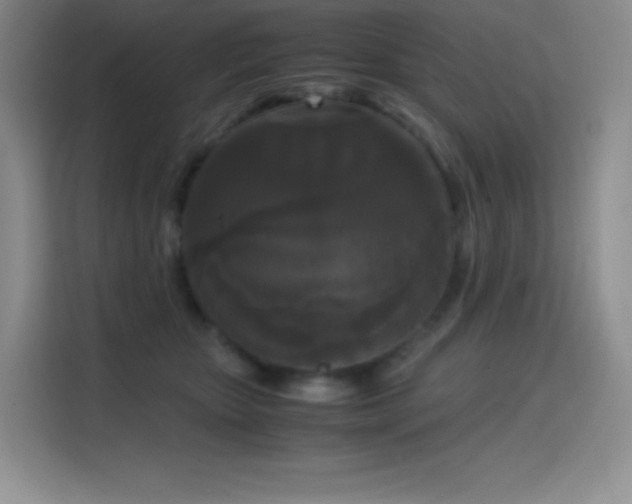 X0000114620467200910201136