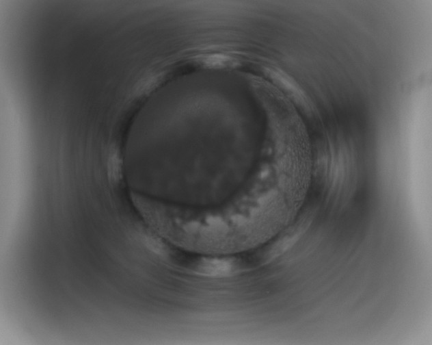 X0000114620469200910201136