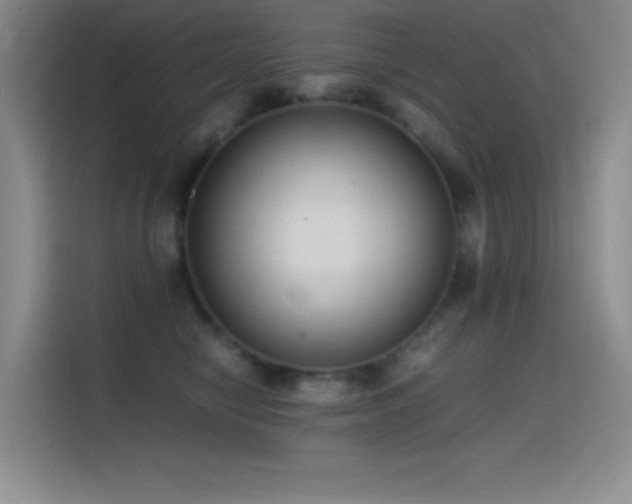 X0000114620470200910201136