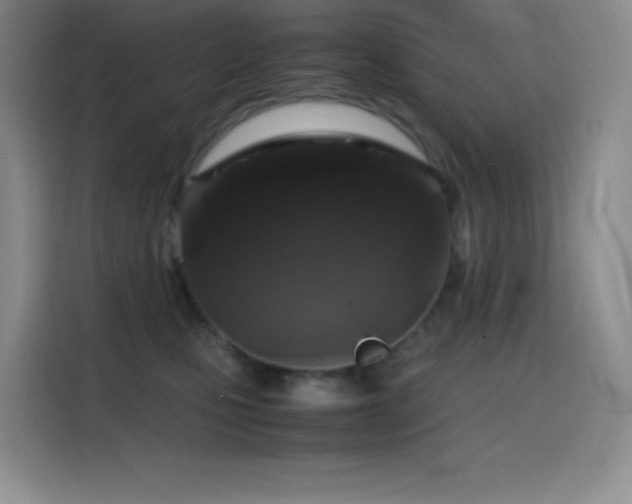 X0000114620471200910201136