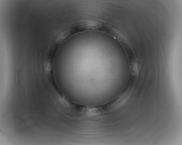 X0000114620472200910201136