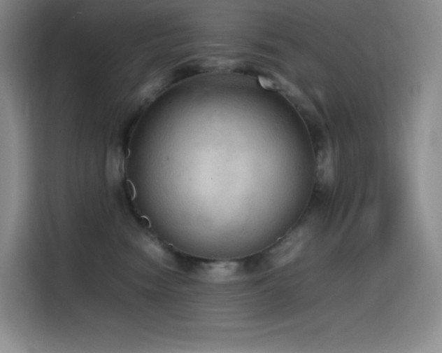 X0000114620474200910201136