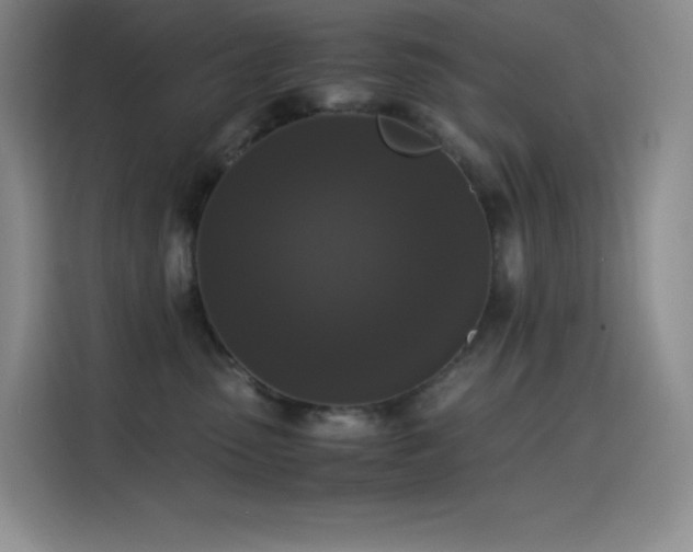 X0000114620475200910201136