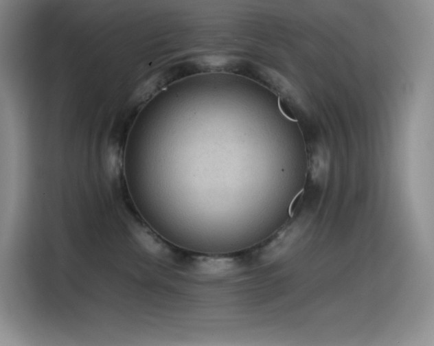 X0000114620476200910201136