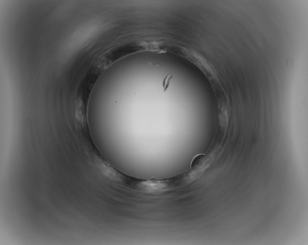 X0000114620477200910201136
