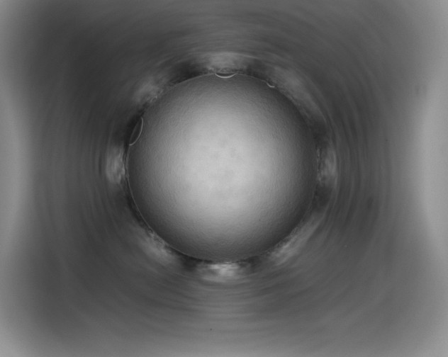 X0000114620478200910201136