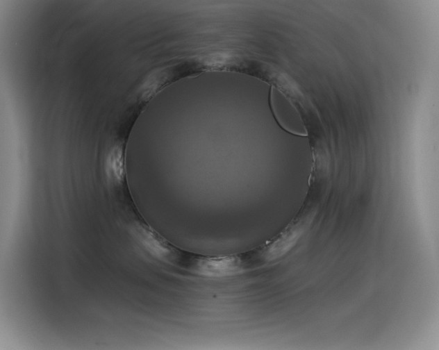 X0000114620479200910201136