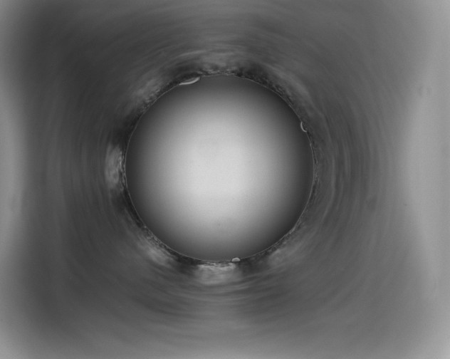X0000114620480200910201136