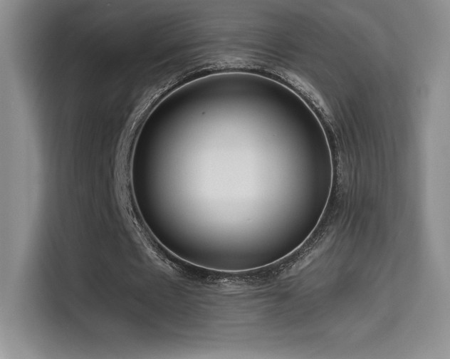 X0000114620481200910201135